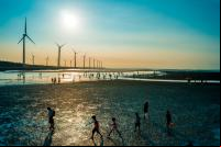 pessoas caminham próximas a usinas de energia eólica