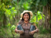 Mulher com duas mudas de árvores e floresta no fundo