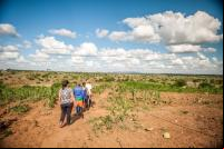 caatinga.jpeg