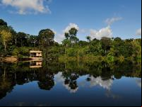 forests ciat neilpalmer.jpg