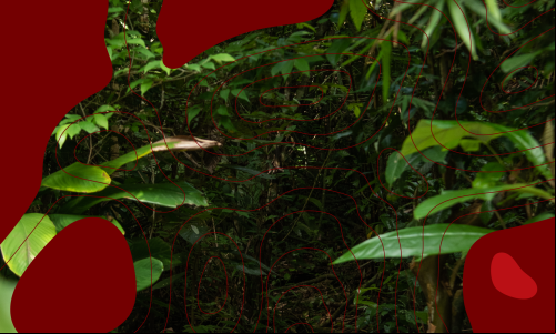 Banner Aceleradora