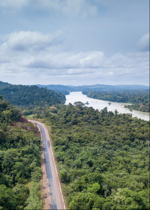 Vista aérea da floresta entrecortada pela BR 163 e o rio Jamanxim