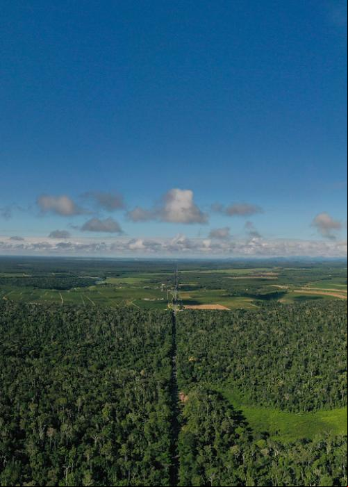 Vista aérea de floresta na região de Vitória-ES